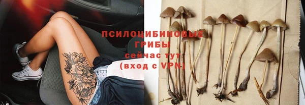 mdpv Бородино