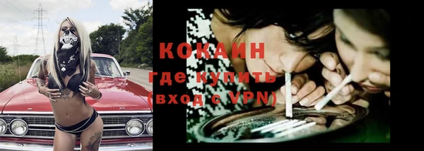 твердый Бронницы