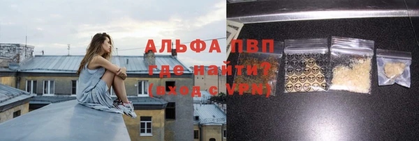 mdpv Бородино