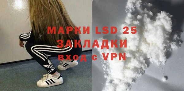 mdpv Бородино