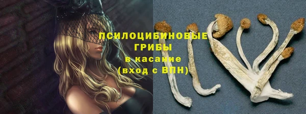 mdpv Бородино