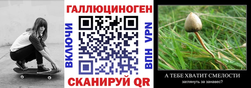 Псилоцибиновые грибы Magic Shrooms  Купить  Заволжье 